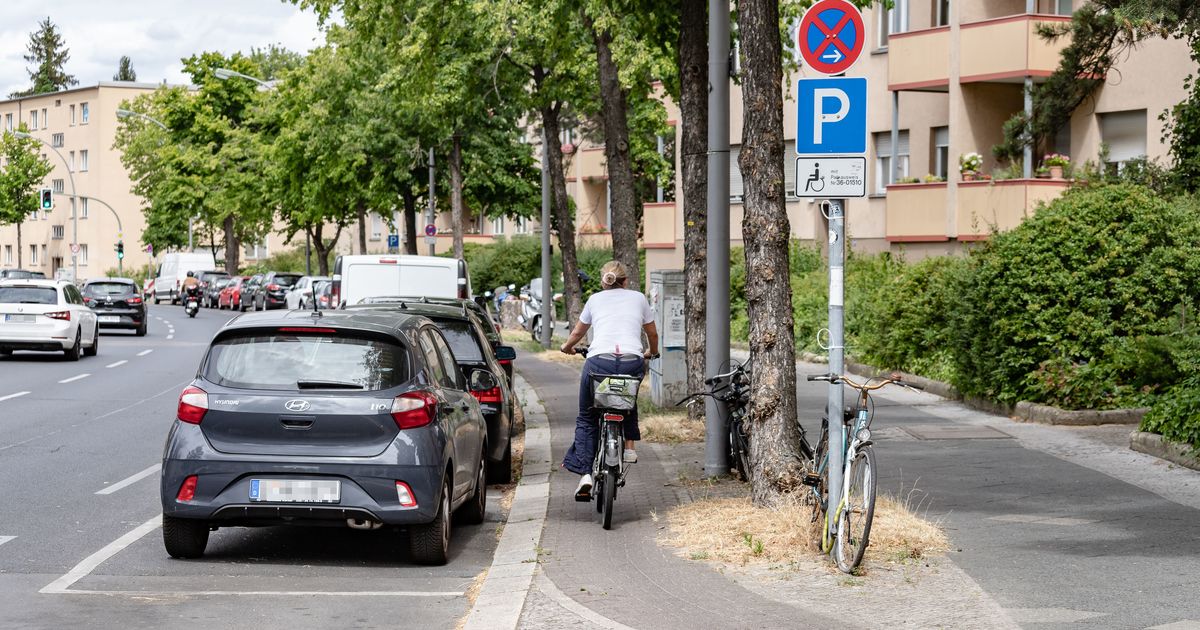 Baulich Getrennter Radweg Munsterdamm InfraVelo