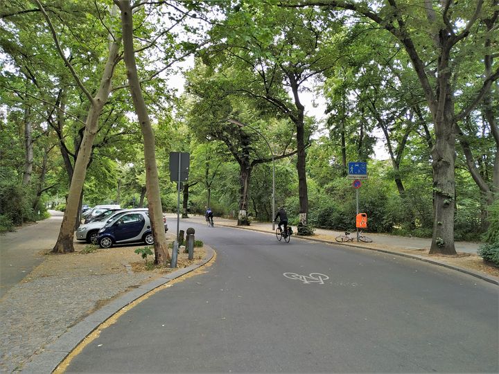 Radfahrender auf Fahrradstraße Prinzregentenstraße